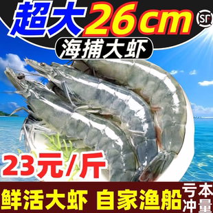 大虾鲜活超大基围虾冷冻特大青虾新鲜对虾明虾海鲜水产海虾盐冻虾