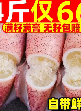 籽乌海兔子满籽全母带籽鲜活墨鱼仔小鱿鱼笔管鱼笔管鱿海鲜水产