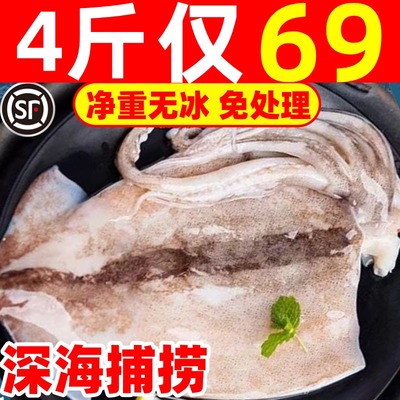 鱿鱼免处理鱿鱼片鲜活冷冻去内脏尤鱼整条商用铁板烧烤海鲜水产