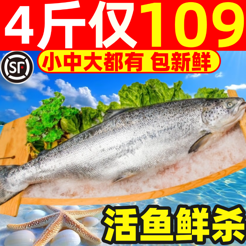 整条三文鱼新疆国产刺身冰鲜生鱼片海鲜商用非挪威进口大西洋鲑鱼