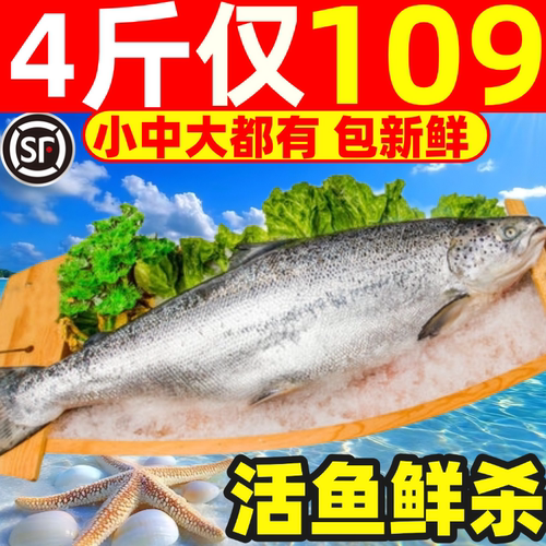 整条三文鱼新疆国产刺身冰鲜生鱼片海鲜商用非挪威进口大西洋鲑鱼