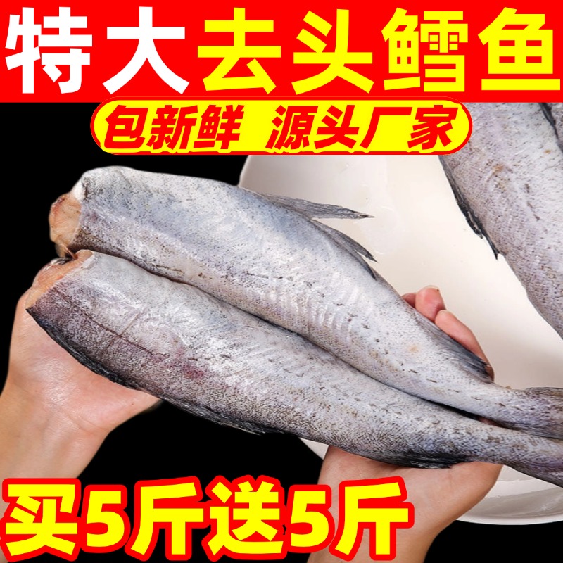 明太鱼新鲜超大无头鳕鱼冷冻狭鳕鱼宝宝鱼肉海鱼朝鲜鱼海鲜辅食