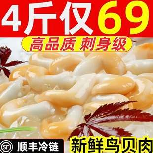 鸟贝肉超大鲜活冷冻刺身级新鲜鸟贝烧烤火锅食材黄鸟贝海鲜水产