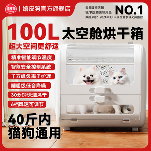 宠物烘干箱猫咪全自动洗澡烘干机家用狗J小型犬专用吹风箱风干神