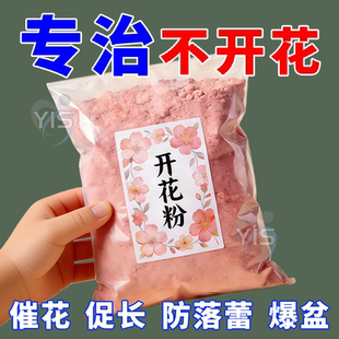 快速开花粉通用君子兰三角梅专用植物强力爆花粉植物肥料促进开花