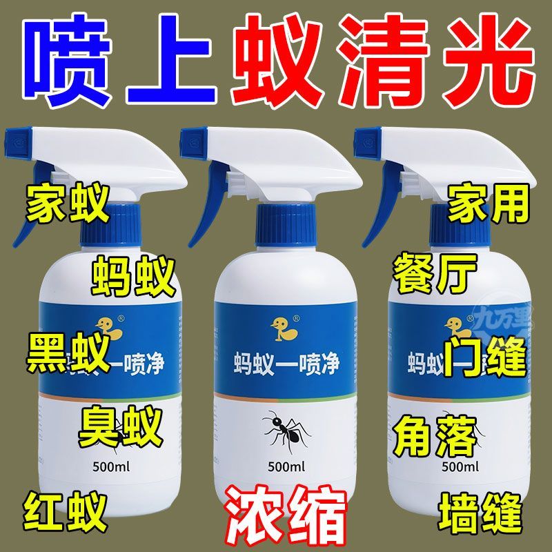 强效灭蚁蚂蚁全窝端进口新配方