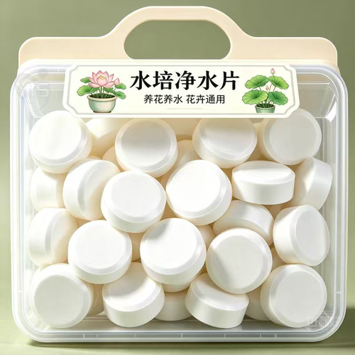 水培植物净水片除臭杀菌消毒鲜花花卉保鲜剂碗莲除藻专用净化水质