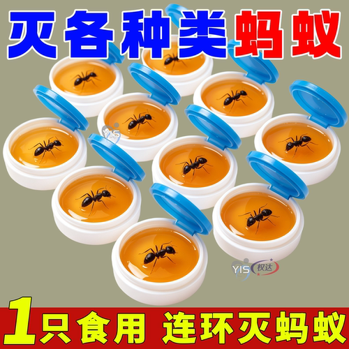 强效一只食用丨快速消杀各类蚂蚁