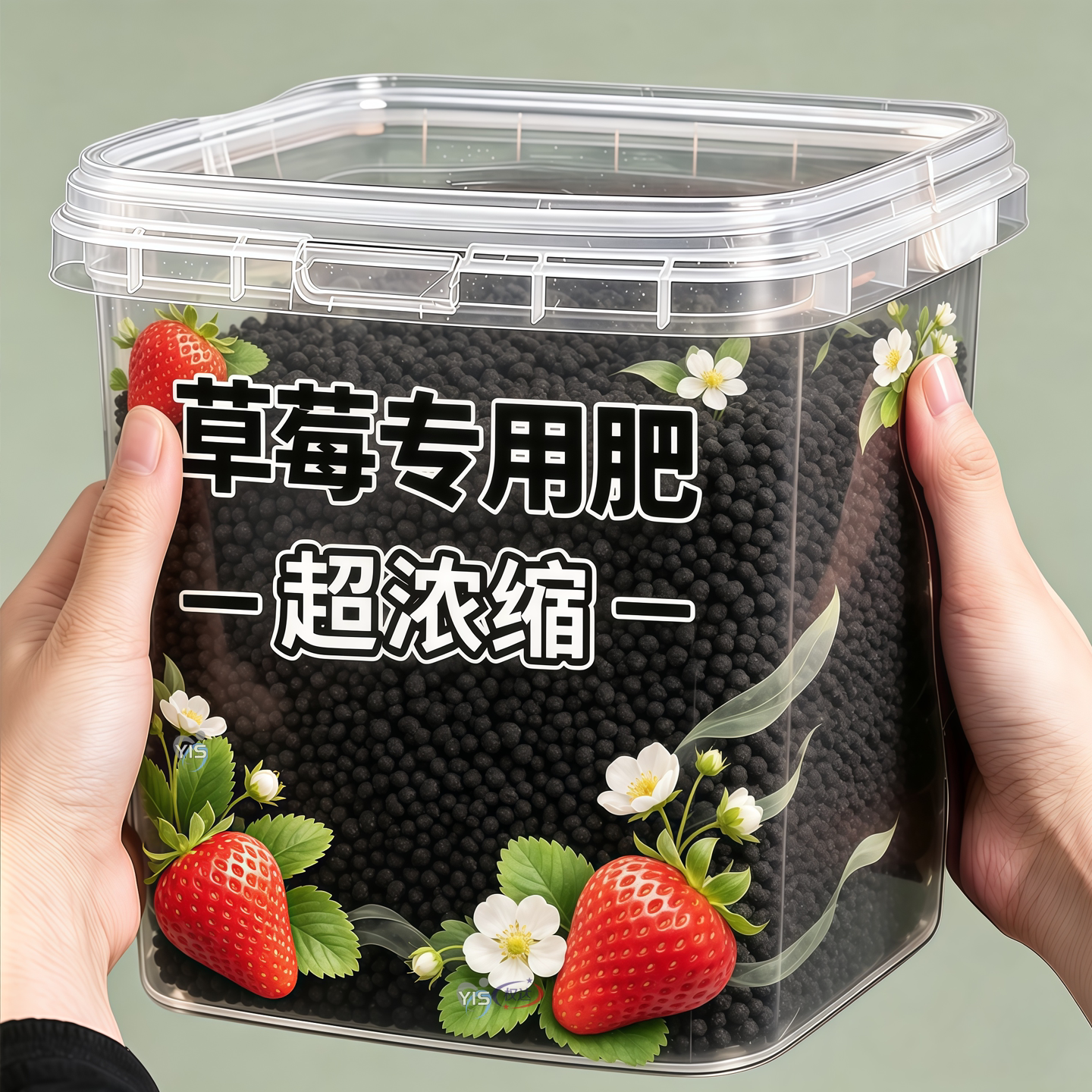 草莓肥四季养护叶片浓绿长势稳健