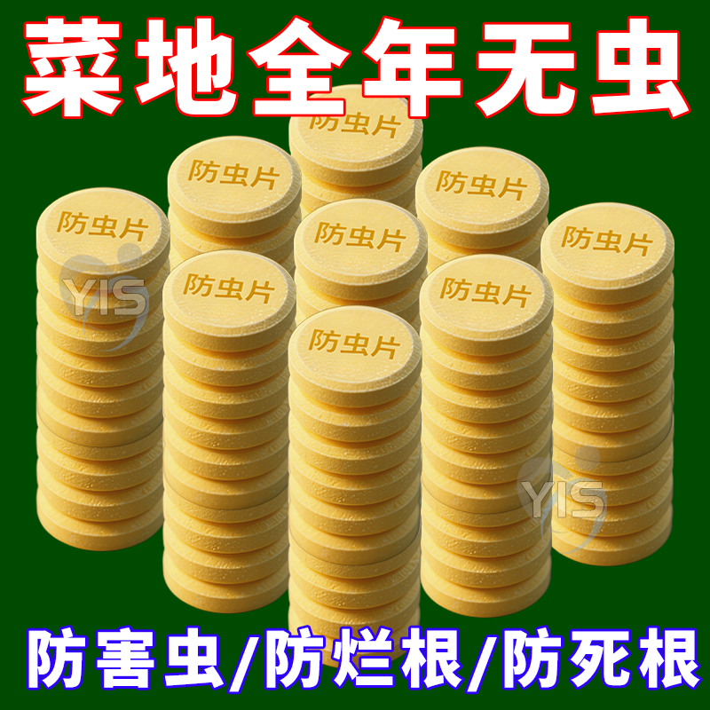 【一片全灭】百亩蔬菜地防虫片菜地花卉小黑飞白粉虱蚜虫菜蛾通杀