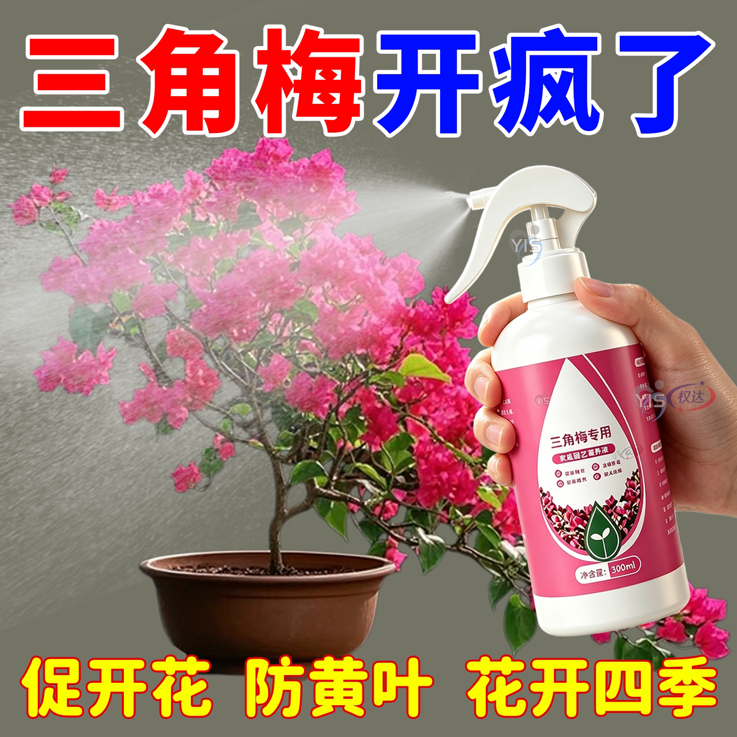 三角梅开花专用营养液肥促花爆花骨粉复合肥料养花枝繁叶茂促开花