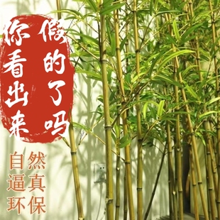 新中式仿真细水竹子装饰假竹子隔断屏风塑料竹子室内顺丰包邮