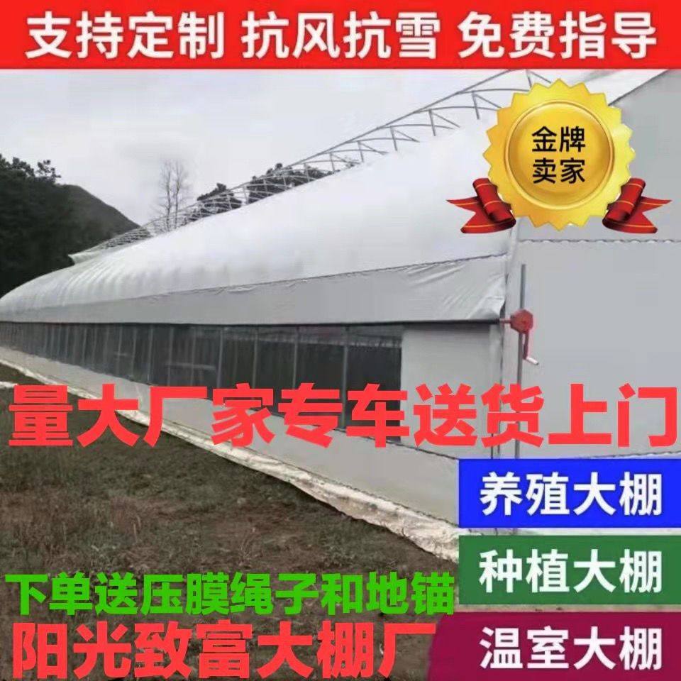 大棚卷膜器养殖大棚全养鸡棚鸡舍猪棚牛棚羊棚鸭棚鹅棚养殖棚专
