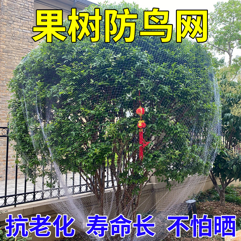果树防鸟用的网农用防鸟丝网果园天网嘉宝果树防鸟罩子阳台防鸟网