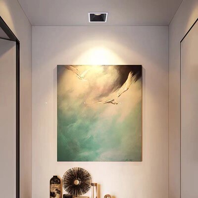 无主灯双头单头方形射灯嵌入式天花灯防眩光斗胆灯客厅家用商店用