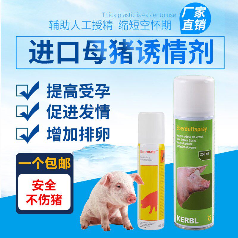 母猪诱情喷雾猪用人工受精器具提高受孕排卵猪发情促孕兽用诱情剂