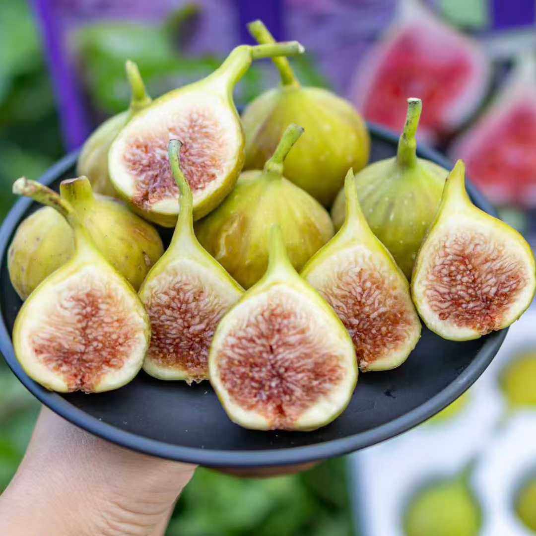 海南树上熟花香蜜无花果新鲜水果软糯无花果当季现发顺丰包邮,水产肉类/新鲜蔬果/熟食,无花果,淘宝优惠券,粉丝福利购,淘宝优惠卷