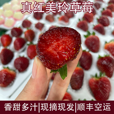 正宗真红美玲黑珍珠草莓新鲜当季日本品种黑美人草莓整箱顺丰包邮