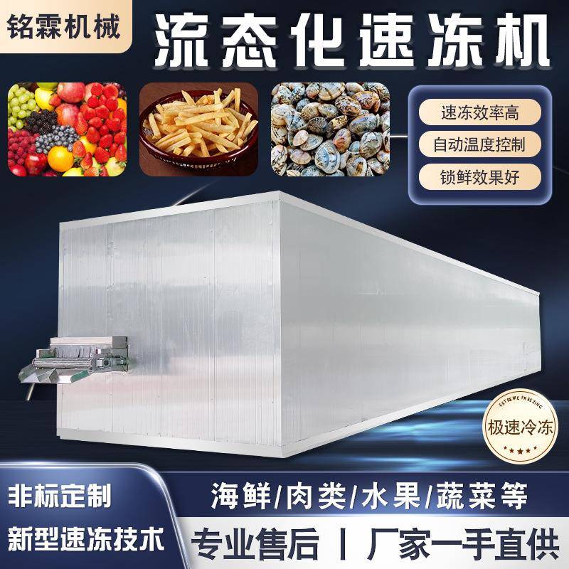 大型黄桃隧道式流态化速冻机荔枝全自动速冻设备超低温榴莲冷冻