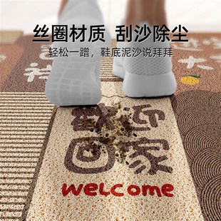入户门地垫进门室外地毯家用耐脏免擦洗防滑丝圈大门口脚垫可裁剪