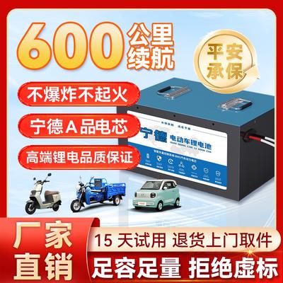 宁德电动车锂电池48V60V72V外卖专用大容量磷酸铁锂二三四轮电瓶