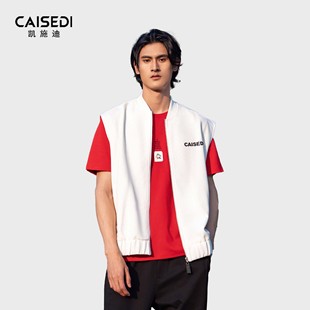 复古背心舒适抗皱无袖 休闲百搭坎肩美式 夹克男 夏季 凯施迪马甲男款