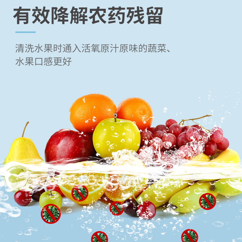 臭氧发生器果蔬消毒机自来水除氯净化洗菜解毒机家用鱼缸消毒活氧