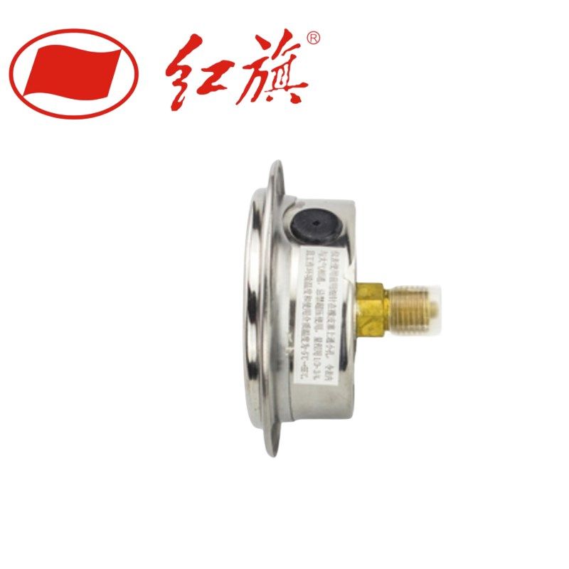 红旗仪表NZ轴向带边耐压力表螺纹外径特殊人气优质,五金/工具,压力表,淘宝优惠券,粉丝福利购,淘宝优惠卷