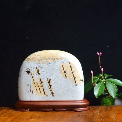 天然草花石图案奇石桌面摆件国画石头画面石观赏石景观石