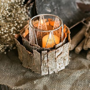 掬涵 天然白桦木皮 桦树皮 马赛DI装饰 Z森系拍摄道具