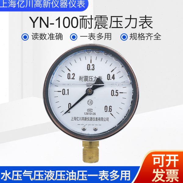 YN100耐震压力表0-0.6/1/1.6/2.5/25MPA抗振油压表