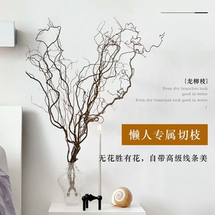 龙柳枝条树枝树干装饰室内级感侘寂风天然真干插干鲜枝