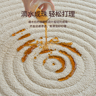 奶油风纯色免洗可擦高级卧室床边地 防水硅藻丝客厅地毯202t4新款