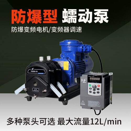 工业型防爆蠕动泵FT600-2J系列变频器控制工业生产精细化工制泵