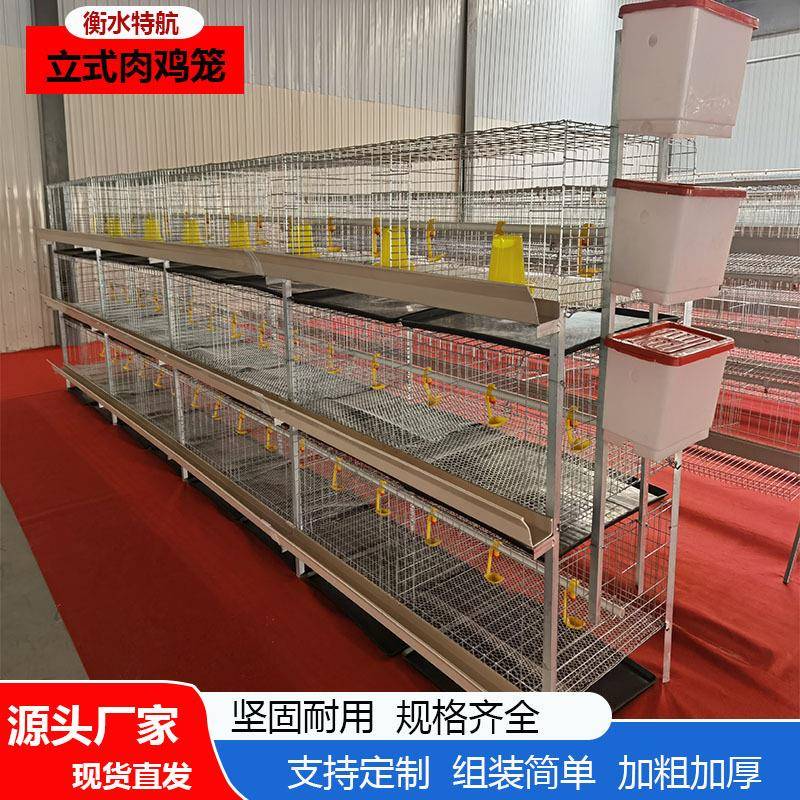 厂家直采立式肉鸡笼镀锌丝防锈鸡笼多种鸡笼设备源头厂家现货