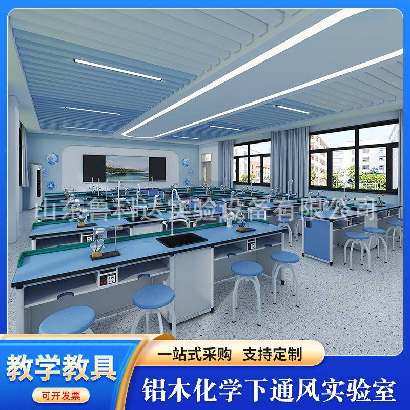 铝木化学下通风实验室中小学实验桌学校科学实验室设备厂家