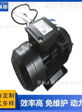 YP8 90永 100 112 32直流磁无刷电240机 轨0道车1液压泵站 电动机