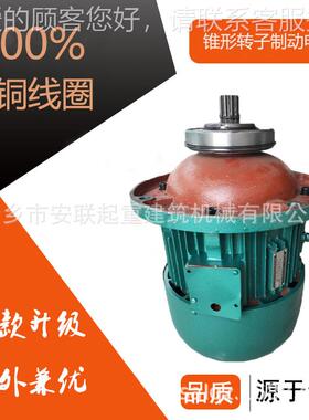D1301-4-3.W锥形机 电2吨葫芦起升317电Z机