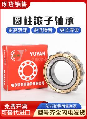 减速机偏心轴承RN205 RN206 RN307 RN309 RN312 RN219 RN222M