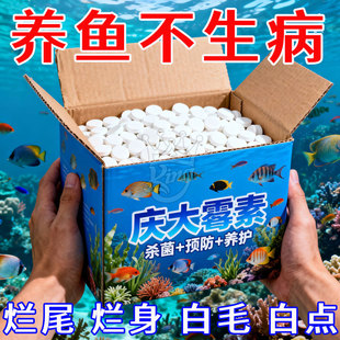 庆大霉素鱼病专用药烂尾白点白毛掉磷蒙眼杀菌水族鱼缸稳定剂