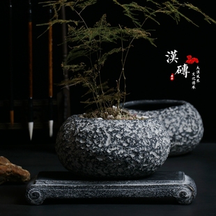 仿石头水泥花盆绿萝水培容器无孔睡莲碗莲铜钱草水仙创意多肉大号