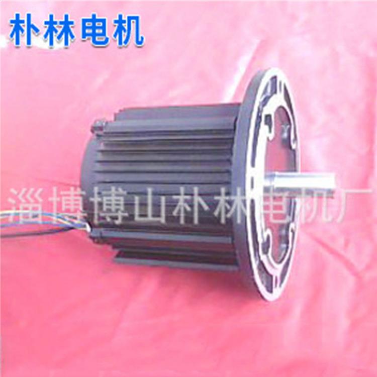 厂家生产150WS100-150电动车三轮电机48V电动车电机