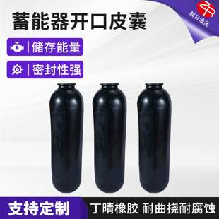 40L蓄能器胶囊气囊氮气袋 30L 东洋力劲NOK开口储能器皮囊10L 20L