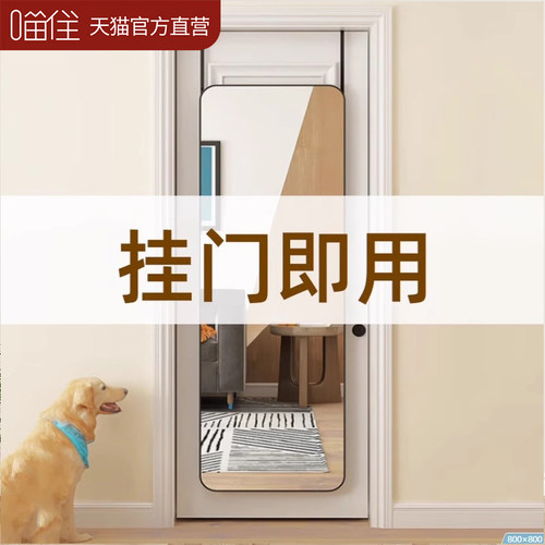 拼到家门后全身镜挂门镜子贴墙自粘穿衣镜出租屋壁挂宿舍试衣镜37