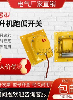 提升机跑偏开关BTDP-I防爆嵌入式防偏保护装置WTDP-1胶带机刮板机