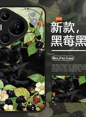 黑莓黑猫手机壳适用于华为pura80pro卡通mate60猫咪p70小猫p50p40nova15女款p60可爱p30液态14玻璃13新款12套
