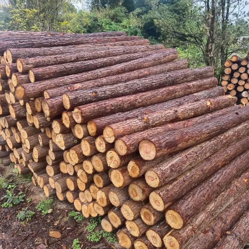 带皮山木桩河岸护坡松木打桩木土建地基加固木桩园林生态围栏木桩