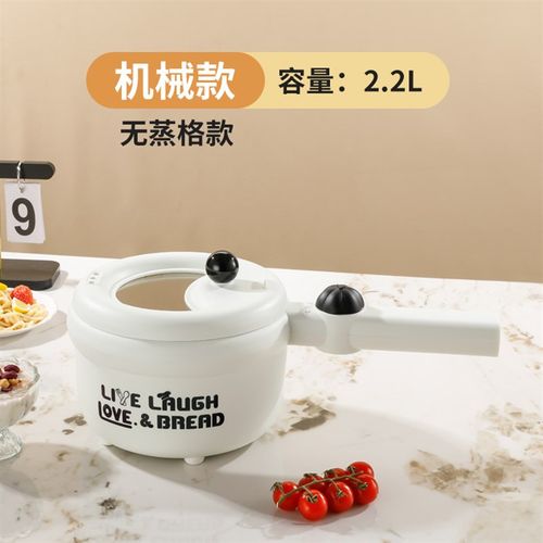 【严选】学生宿舍一人蒸煮一体迷你小型电煮锅全自动加热泡面电锅