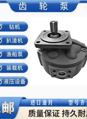 高压齿轮泵 CBGJ/CBZ/JHP/CBG 2040/2050/2063/2080/2032