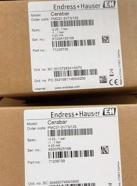 E+H恩德斯豪斯压力变送器Cerabar 型号PMC21-2